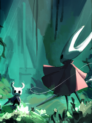 Hollow Knight