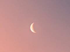 아마리스 바벨 로이드 / XX / 그리핀도르