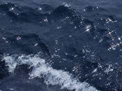 고래별 - 야상곡