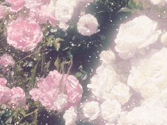 재야부회래조아문 - 樑承林