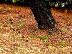 오늘도 무엇을 향해-자작시