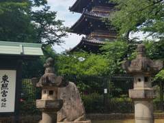 도쿄 여행 사진