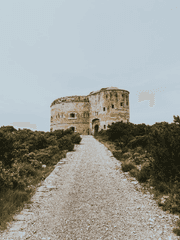 우리집 노예가 공작이 되어 돌아왔다