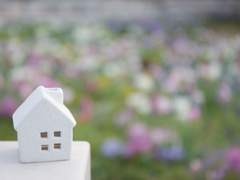 문을 두드려보았다