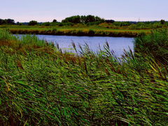 [주원동식] 나이테 01