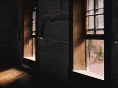 [주원동식] 나이테 02