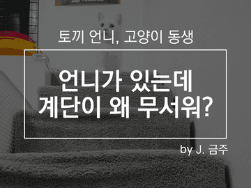 03. 언니가 있는데 계단이 왜 무서워?