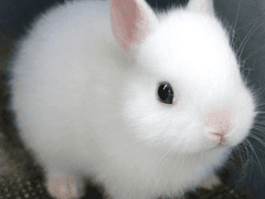 (앙스타) 시노 생일축하해♣