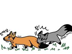 츠무쌍디와 후타시라