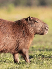 캐릭터 설정모음