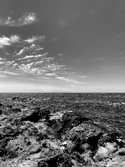 진격거 리바페트