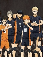 하이큐 상황문답