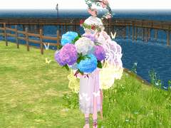 210715 수국 한 아름