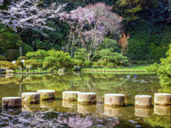 [망기무선] 변화와 수용의 징검다리