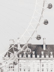 [랩진] Buen camino 完