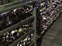 그것들이 당신마저 괴롭히는 줄도 모르고