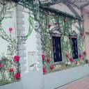 포타 키워드 및 독후감