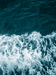 공개배포 시나리오