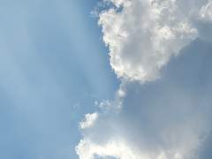 어느 날 내곁으로 누군가 다가왔다.