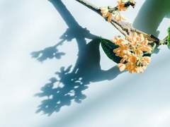 새끼손가락 걸고, 약속