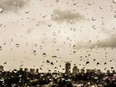 짝사랑은 사소한 이유로 시작된다.