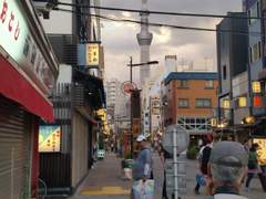 도쿄 여행 사진