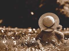 내 유일한 사랑이었고, 행복이었던 당신에게.