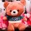 테디베어