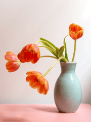 뜰팁 역주행 단편 모음집