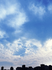 우리 길마가 사라졌어