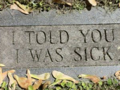 타의적 털갈이上