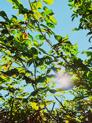 [유키리사] 볕뉘 언저리에서