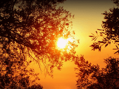 지평선을 비출 햇빛에게