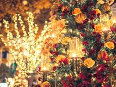 非理性的 沒理海