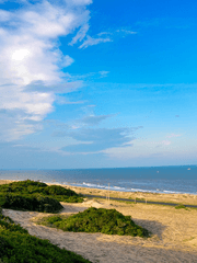 영어 회화, 한달차