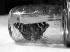 그냥 대충 휘뚜루마뚜루 쓴 센티넬 후회물 SSUL +