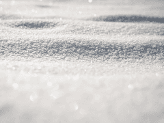 겨울에 피어난 꽃