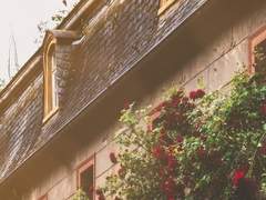 하나키 키요미츠 ✢ XY ✢ 3학년