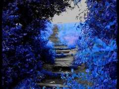 야 눈을 왜 그따구로 뜨고 날 보냐?