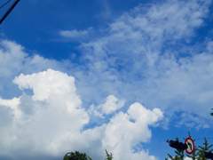 미지근하고 지루한 여름입니다.