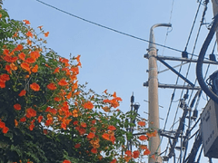 재야커 공개 프로필