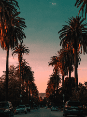 하이틴 로맨틱코미디