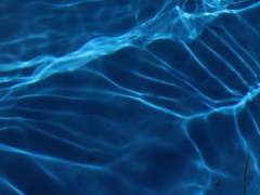 빛바랜 달빛의 끝자락에서