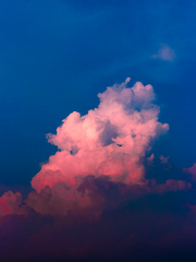 영화로 보는 음악사