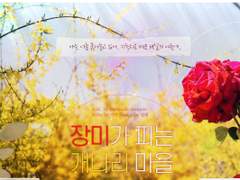 장미가 피는 개나리 마을
