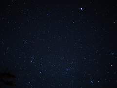 [원피스/루나미]항해사의 낭만