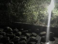 올해의 봄날처럼