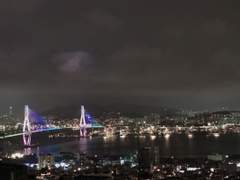 거니는 나를 계속 따라오더라고