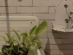 어울리는 사람이 된 듯 기만에 차오를 수 있었다