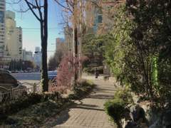 꺼질 거품일지라도 그 위를 걷겠다